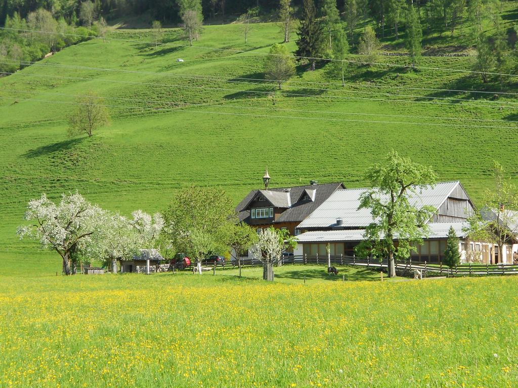 Weitgasserhof Schladming Luaran gambar