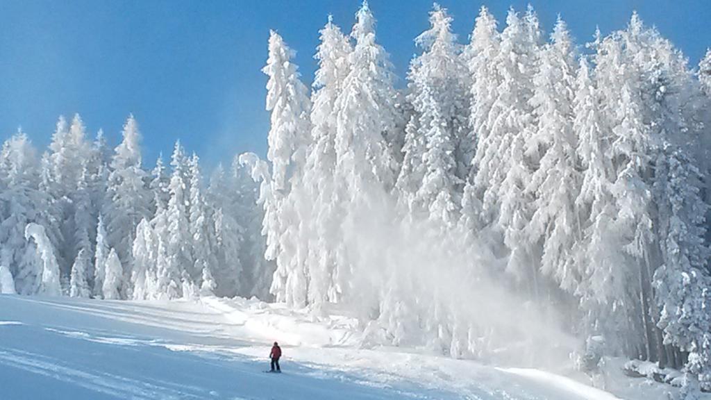 Weitgasserhof Schladming Luaran gambar